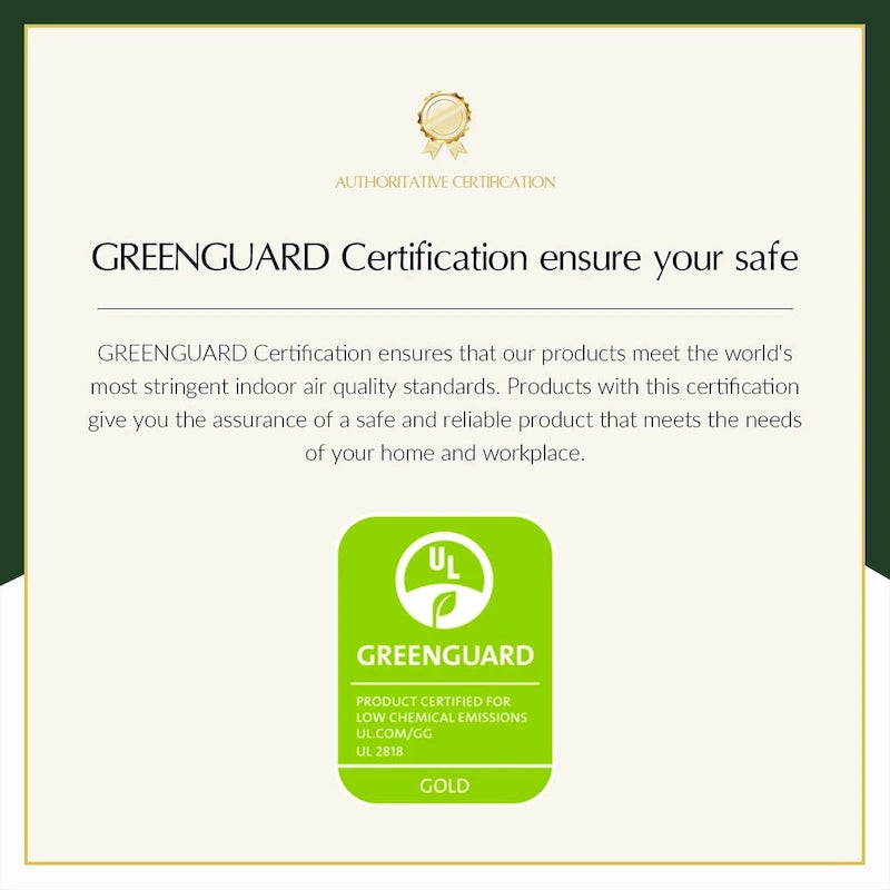 Genuine Leather Wingback Armchair with Lumbar Pillow - Modern Style, Foam Cushioned Seat, Solid Wood Legs, Waterproof