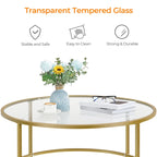 36" Round Glass Top Coffee Table - Tempered Glass, Iron Frame, Storage Shelf, 99lb Capacity, 2 Color Options